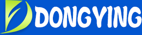 Dongguan Dongying Toy Co., Ltd.